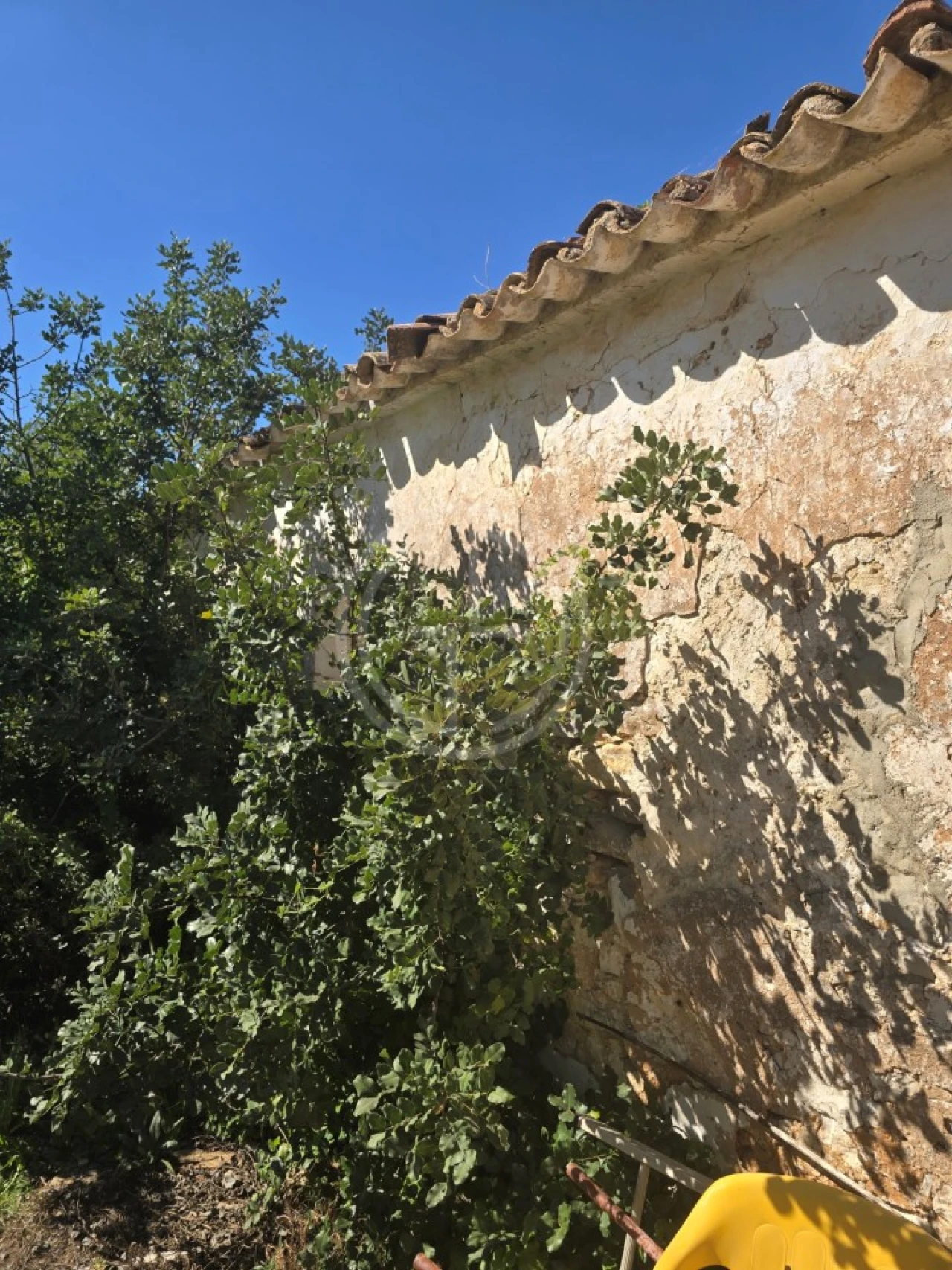 Terreno para Venda em Santa Barbara de Nexe Foto 10
