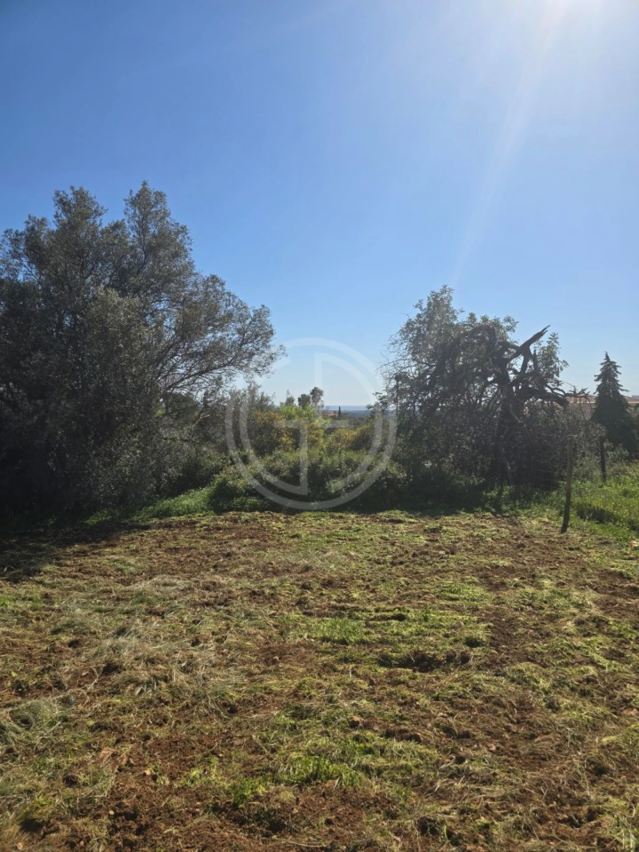 Terreno para Venda em Santa Barbara de Nexe Foto 11