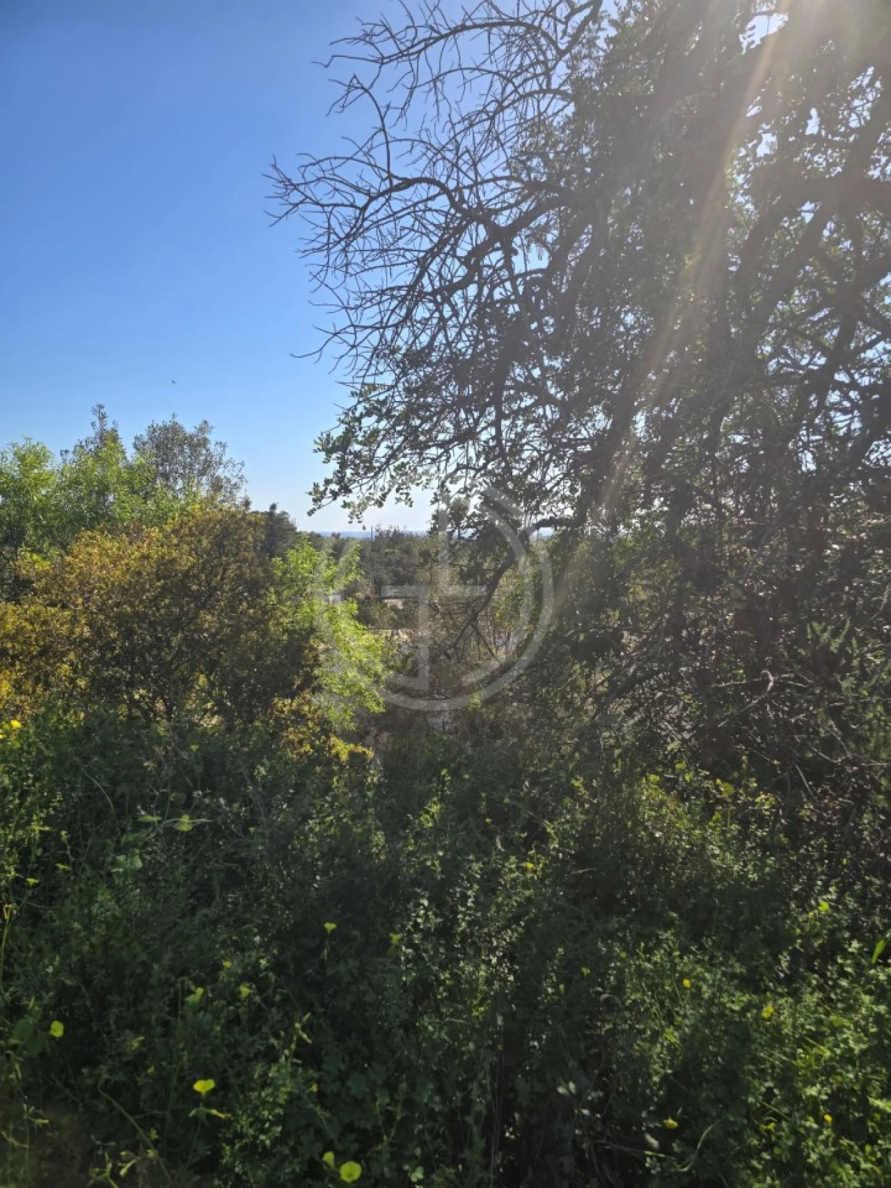 Terreno para Venda em Santa Barbara de Nexe Foto 14