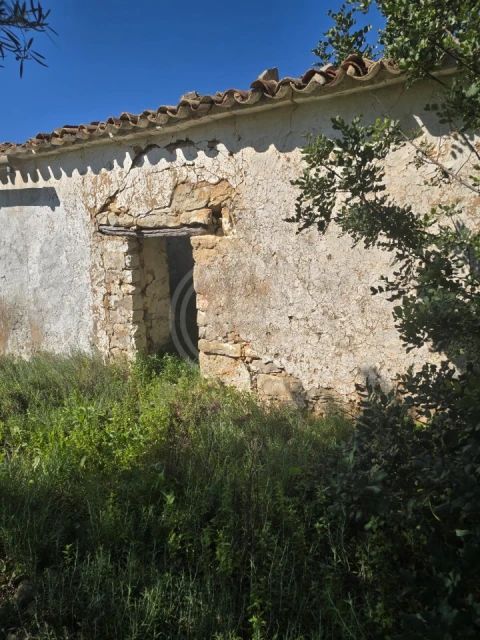 Terreno para Venda em Santa Barbara de Nexe