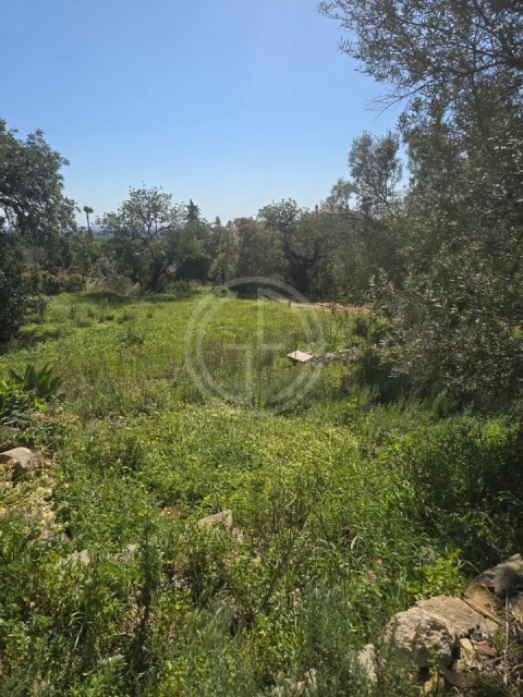 Terreno para Venda em Santa Barbara de Nexe