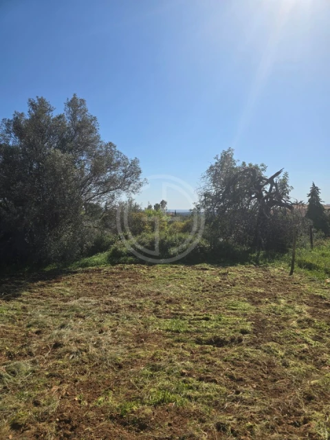 Terreno para Venda em Santa Barbara de Nexe