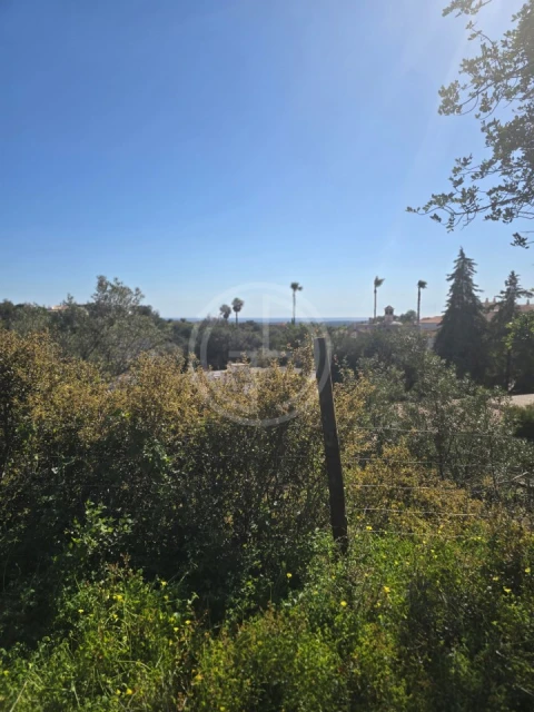 Terreno para Venda em Santa Barbara de Nexe