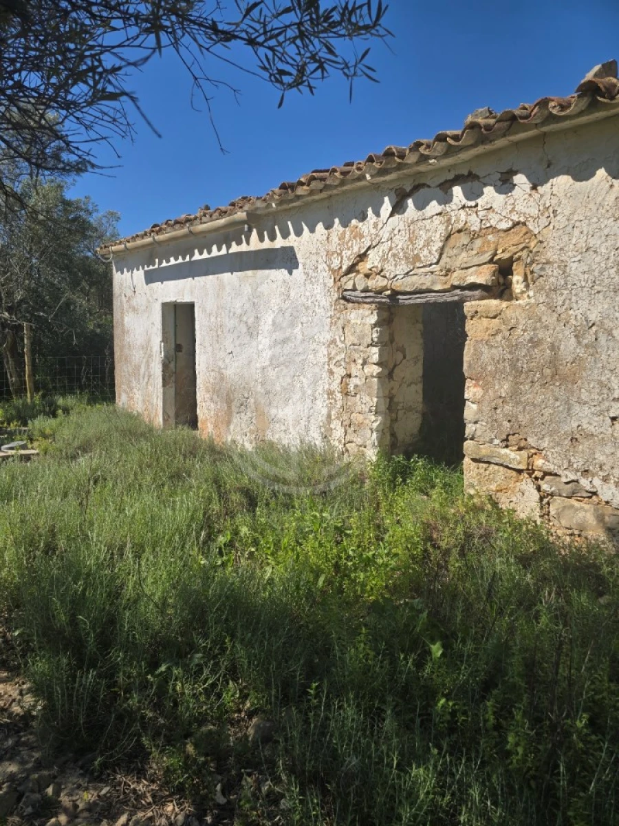 Terreno para Venda em Santa Barbara de Nexe Foto 3