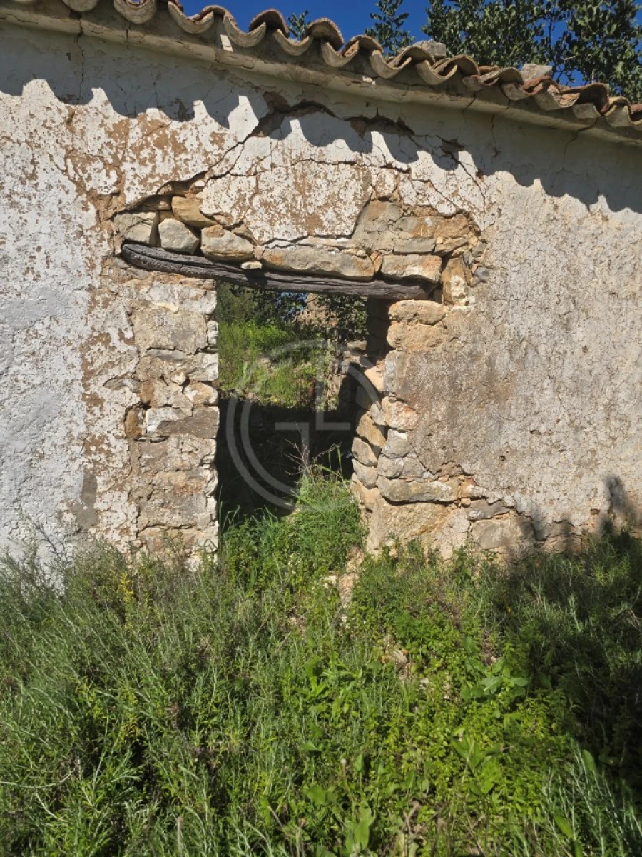 Terreno para Venda em Santa Barbara de Nexe Foto 6
