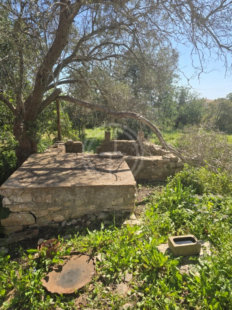Terreno para Venda em Santa Barbara de Nexe Foto 9