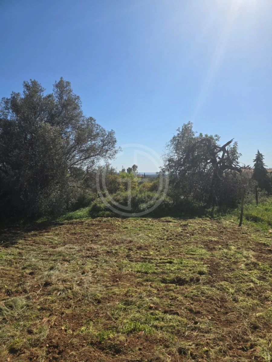 Terreno para Venda em Santa Barbara de Nexe Foto 11
