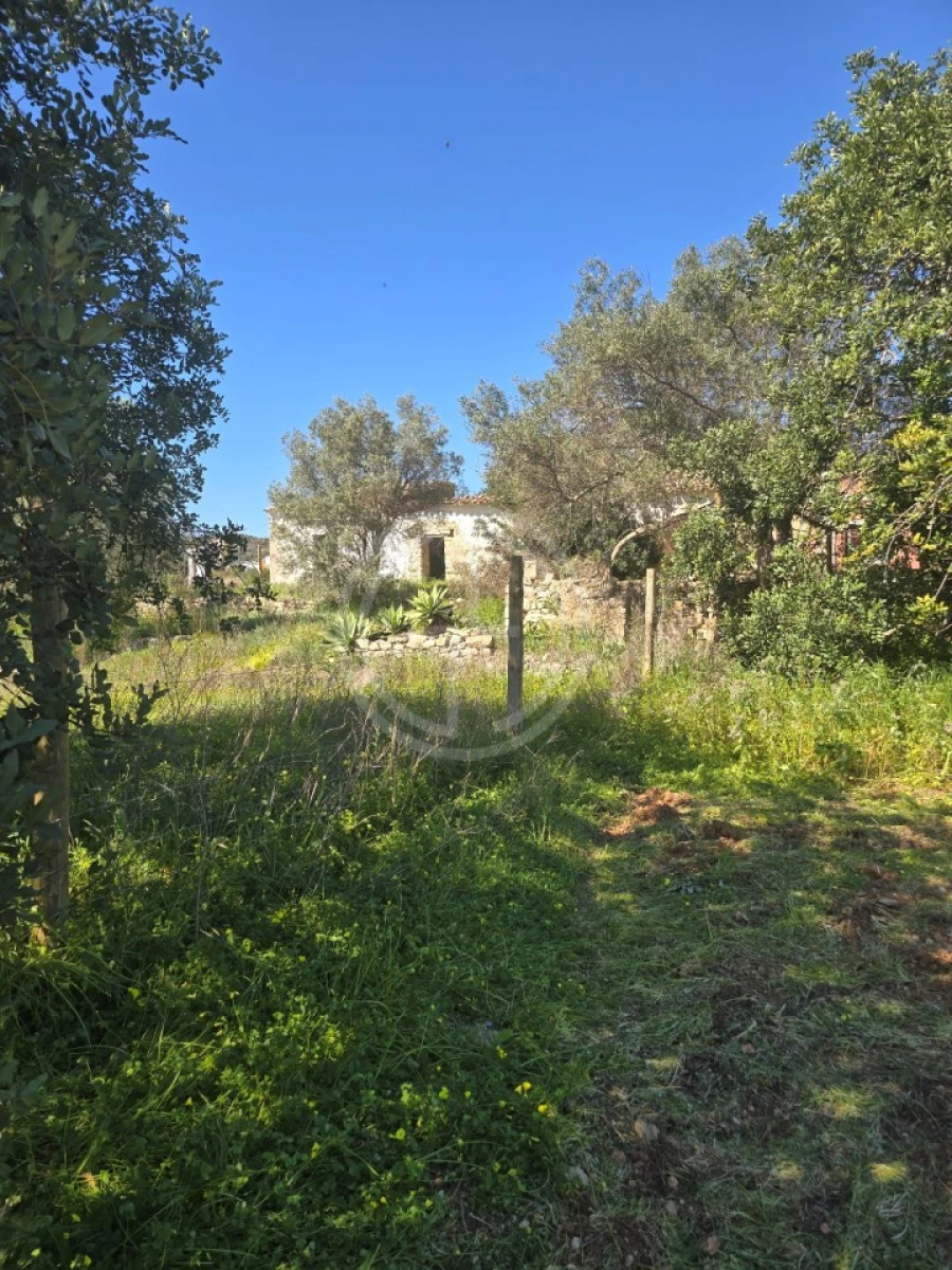 Terreno para Venda em Santa Barbara de Nexe Foto 13