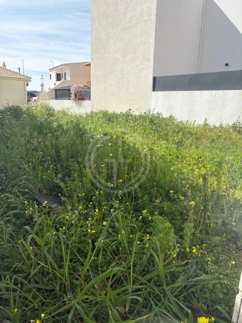 Terreno para Venda em Montenegro