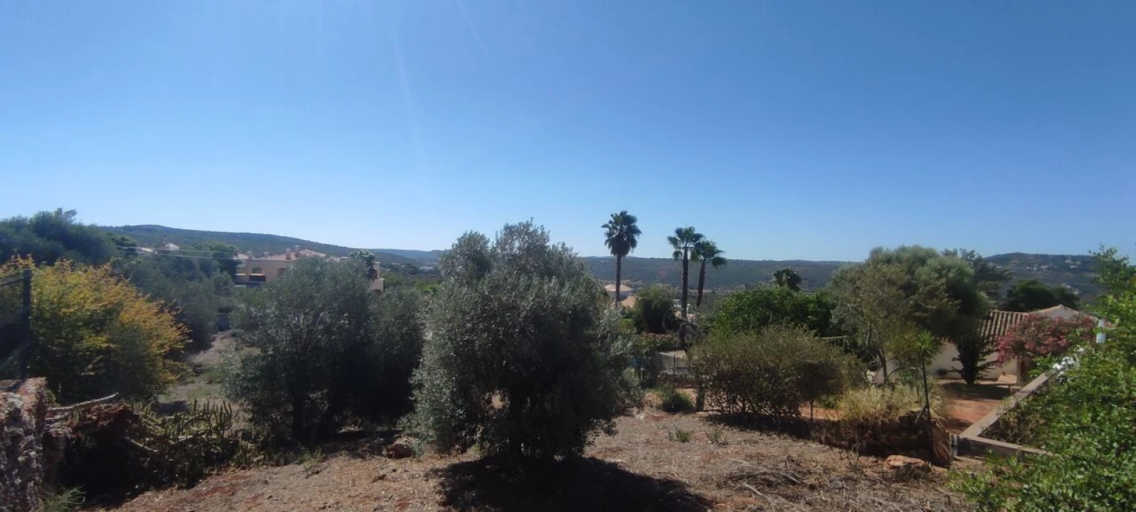 Terreno para Venda em Querença, Tôr e Benafim Foto 5