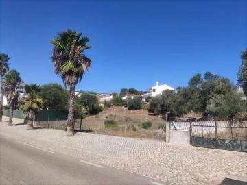 Terreno para Venda em Querença, Tôr e Benafim