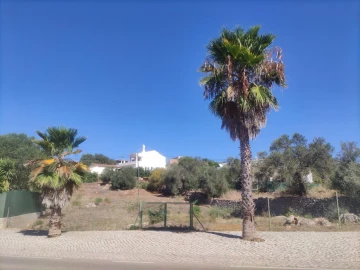 Terreno para Venda em Querença, Tôr e Benafim