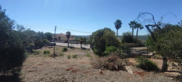 Terreno para Venda em Querença, Tôr e Benafim