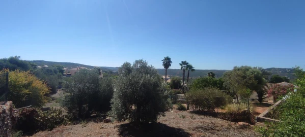 Terreno para Venda em Querença, Tôr e Benafim