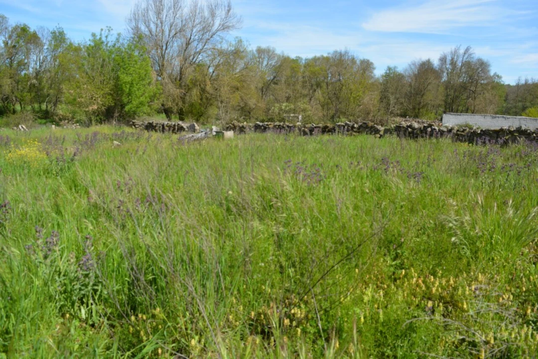 Moradia T4 para Venda em Pousade e Albardo Foto 49