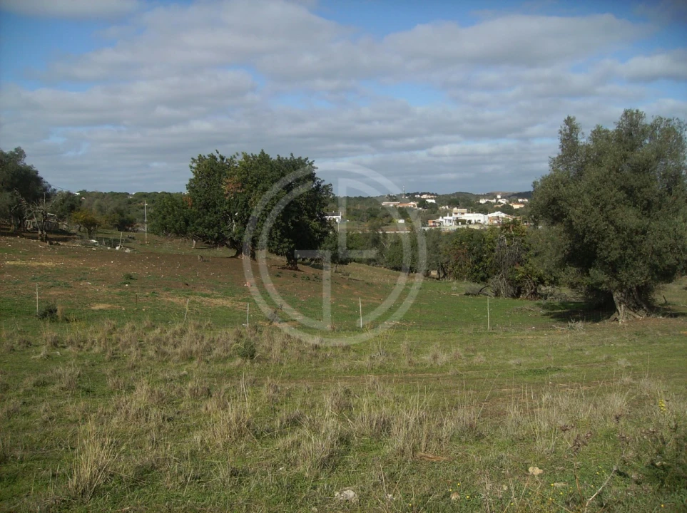 Terreno para Venda em Albufeira e Olhos de Água Foto 10