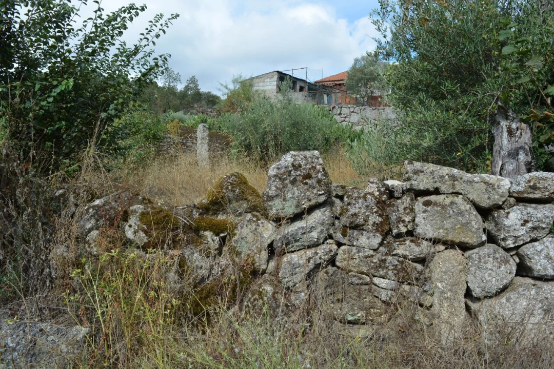 Moradia T6 para Venda em Alverca da Beira/Bouça Cova Foto 8