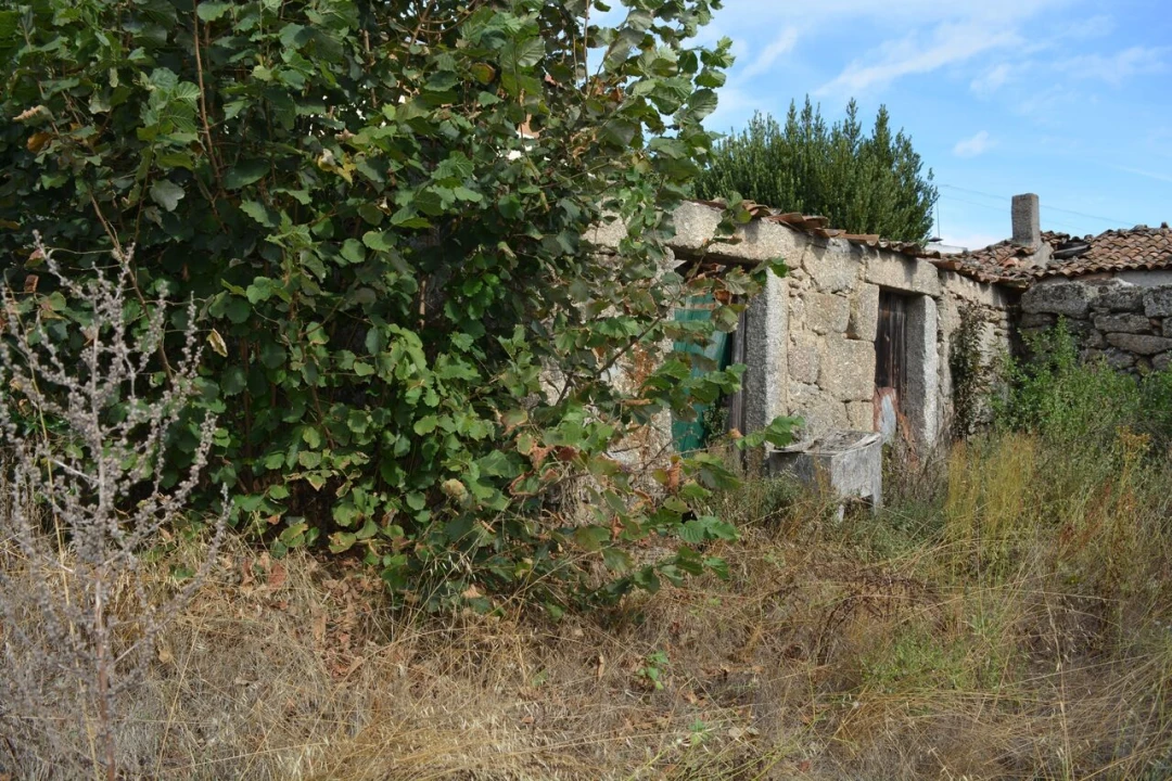 Moradia T6 para Venda em Alverca da Beira/Bouça Cova Foto 9