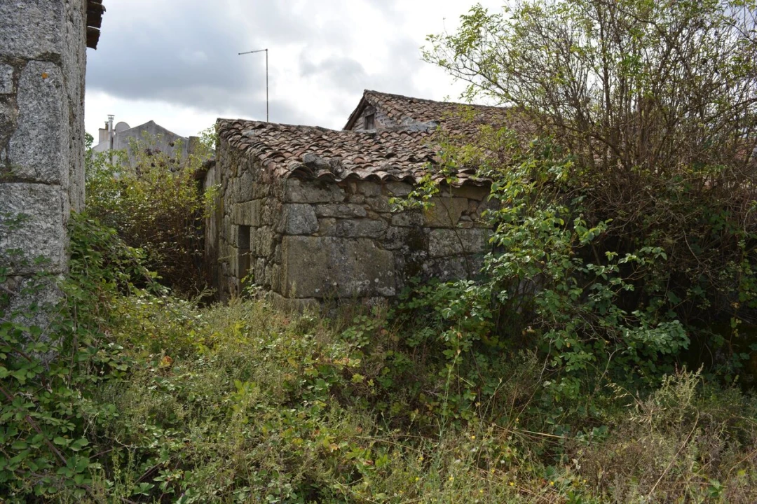 Moradia T6 para Venda em Alverca da Beira/Bouça Cova Foto 11