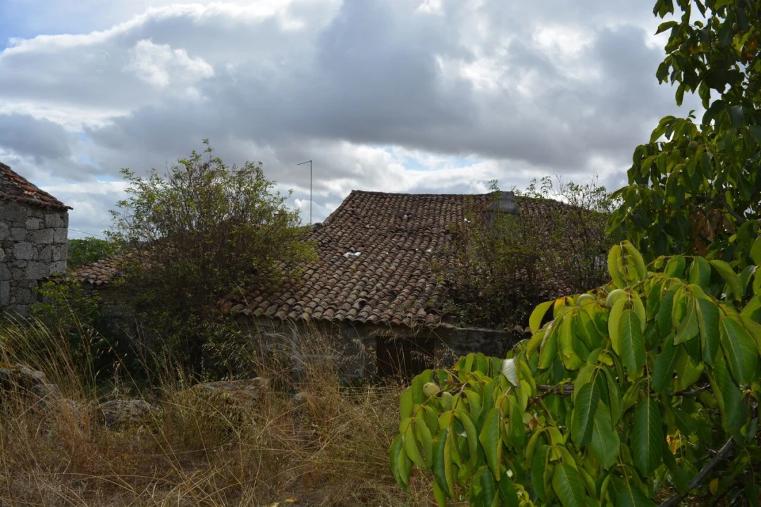 Moradia T6 para Venda em Alverca da Beira/Bouça Cova Foto 12