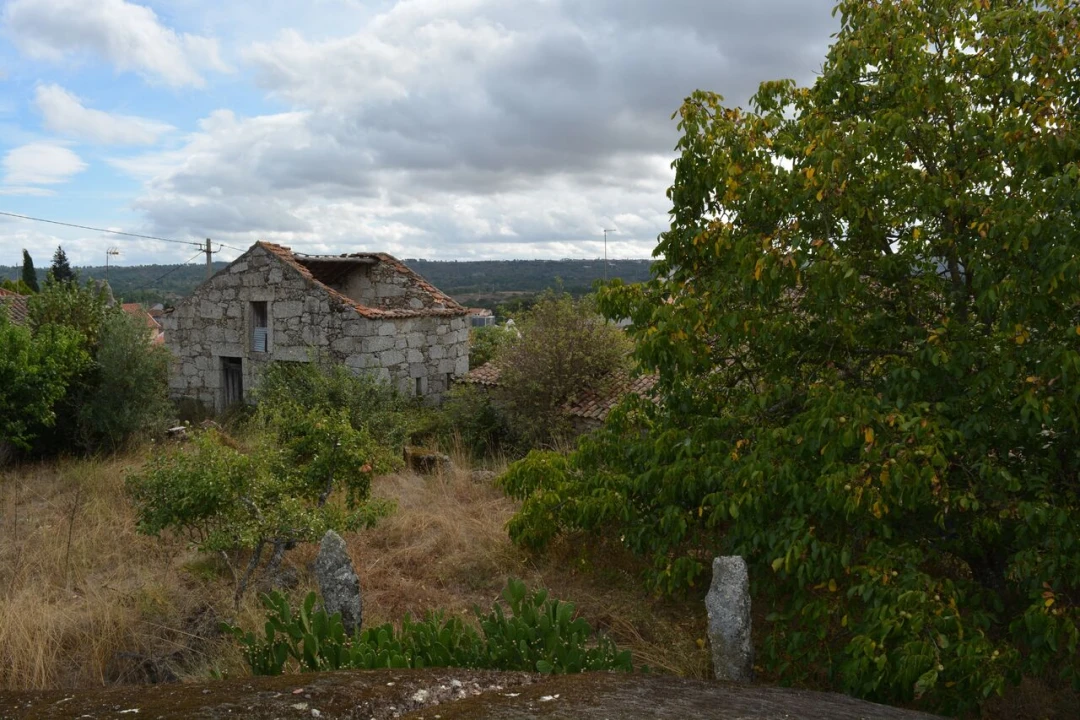 Moradia T6 para Venda em Alverca da Beira/Bouça Cova Foto 17