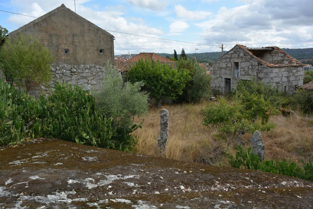 Moradia T6 para Venda em Alverca da Beira/Bouça Cova Foto 19