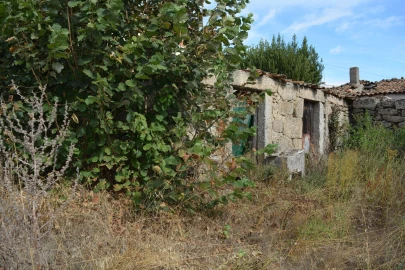 Moradia T6 para Venda em Alverca da Beira/Bouça Cova