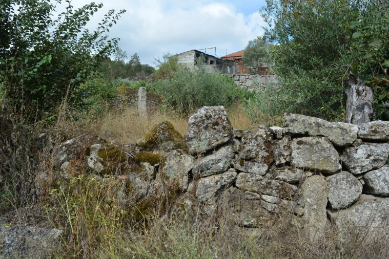 Moradia T6 para Venda em Alverca da Beira/Bouça Cova Foto 8