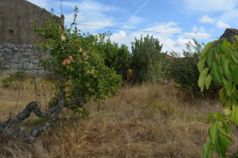Moradia T6 para Venda em Alverca da Beira/Bouça Cova Foto 14