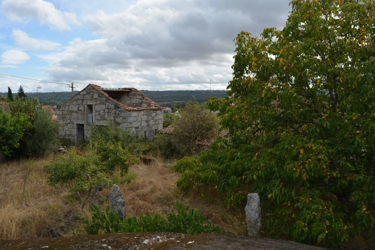 Moradia T6 para Venda em Alverca da Beira/Bouça Cova Foto 17