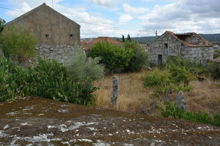 Moradia T6 para Venda em Alverca da Beira/Bouça Cova Foto 19