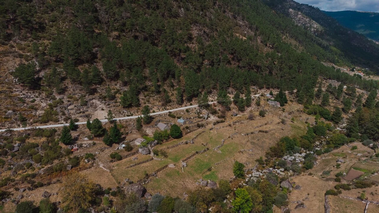 Quinta T1 para Venda em Manteigas (São Pedro) Foto 4