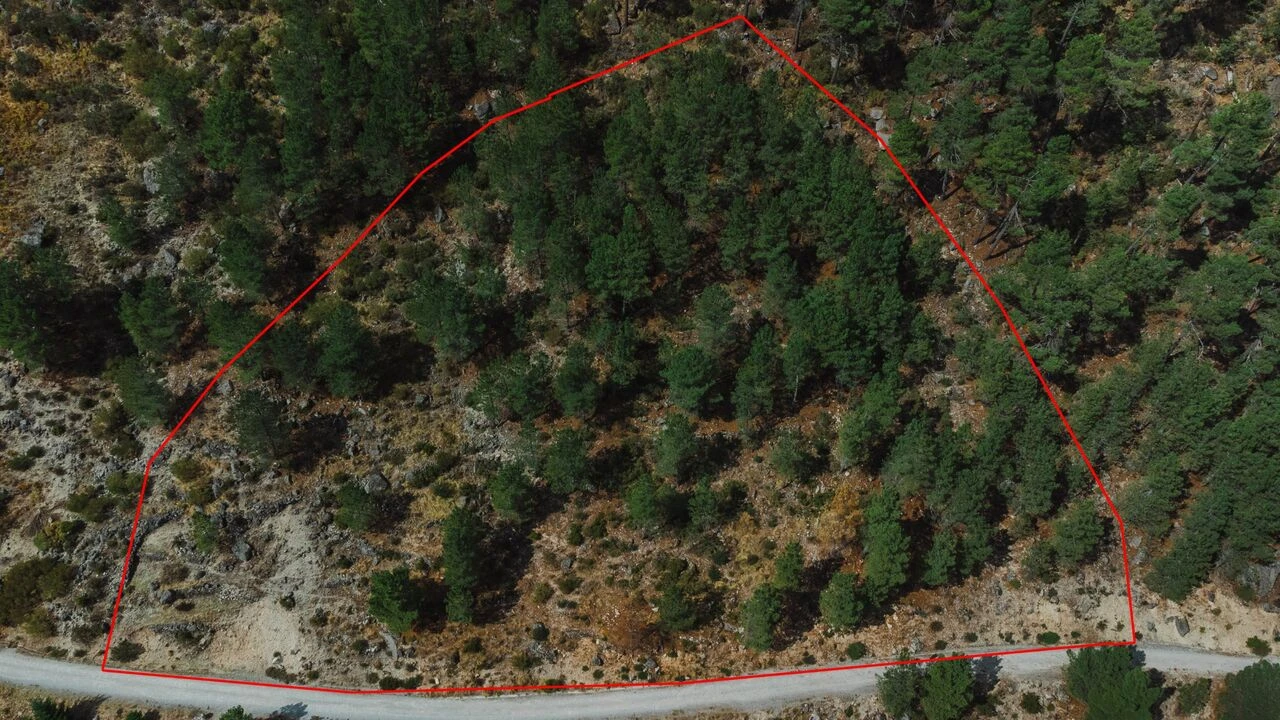 Quinta T1 para Venda em Manteigas (São Pedro) Foto 5