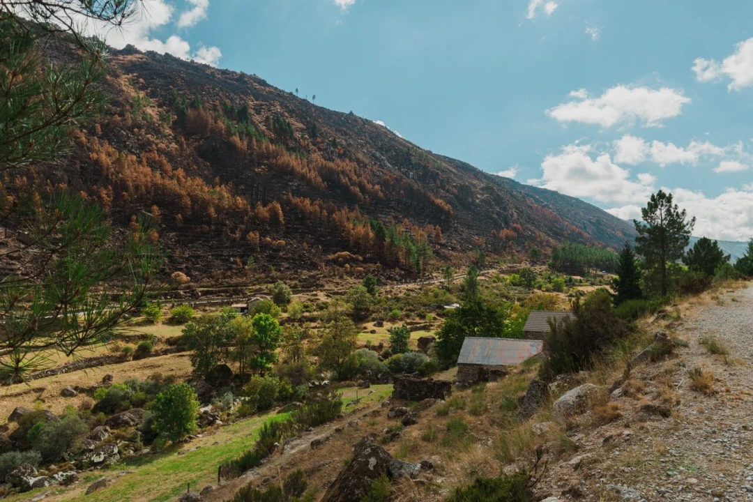 Quinta T1 para Venda em Manteigas (São Pedro) Foto 7