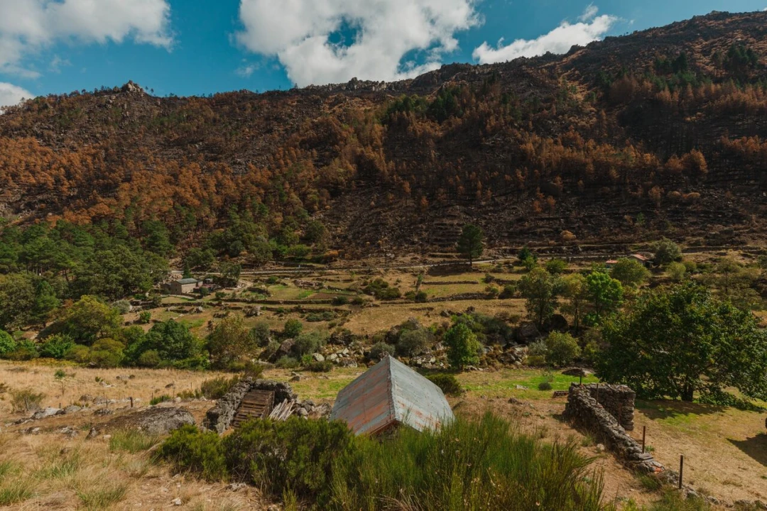 Quinta T1 para Venda em Manteigas (São Pedro) Foto 2