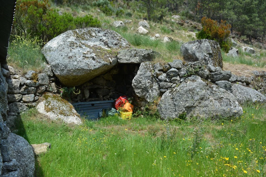 Quinta T1 para Venda em Manteigas (São Pedro) Foto 14