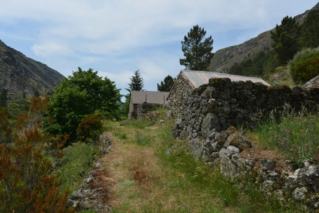 Quinta T1 para Venda em Manteigas (São Pedro) Foto 19