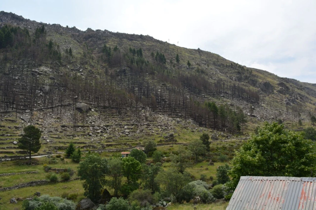 Quinta T1 para Venda em Manteigas (São Pedro) Foto 25