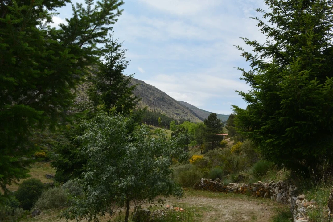 Quinta T1 para Venda em Manteigas (São Pedro) Foto 32