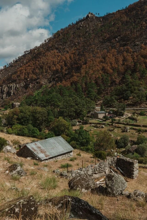 Quinta T1 para Venda em Manteigas (São Pedro)