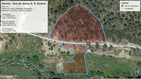 Quinta T1 para Venda em Manteigas (São Pedro)