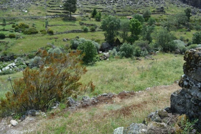 Quinta T1 para Venda em Manteigas (São Pedro)