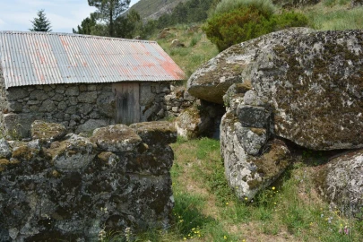 Quinta T1 para Venda em Manteigas (São Pedro)