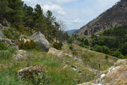 Quinta T1 para Venda em Manteigas (São Pedro)