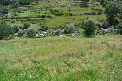 Quinta T1 para Venda em Manteigas (São Pedro)