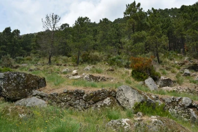 Quinta T1 para Venda em Manteigas (São Pedro)