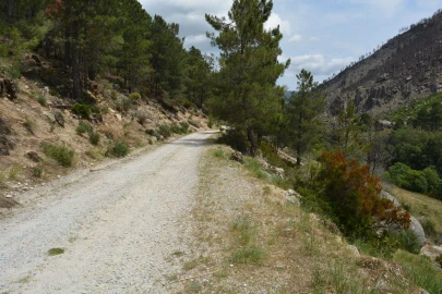 Quinta T1 para Venda em Manteigas (São Pedro)