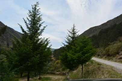 Quinta T1 para Venda em Manteigas (São Pedro)