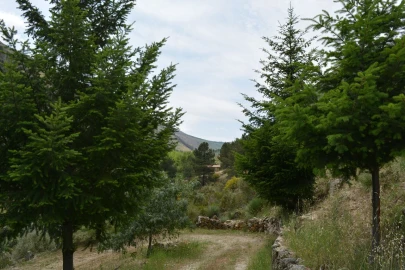 Quinta T1 para Venda em Manteigas (São Pedro)