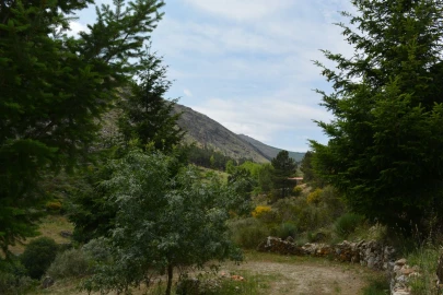 Quinta T1 para Venda em Manteigas (São Pedro)